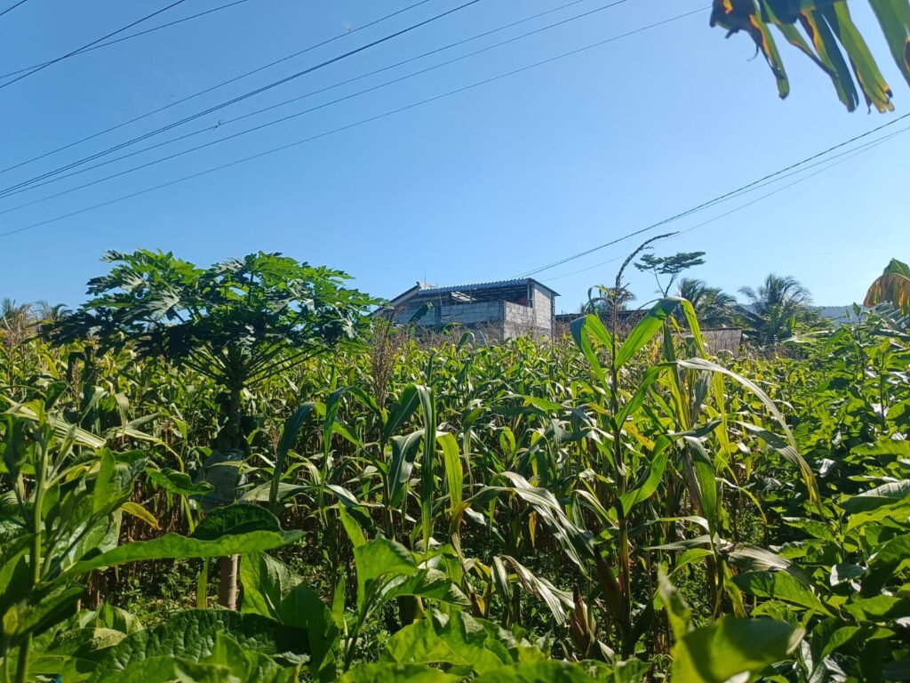 IMG 20260610 WA00821