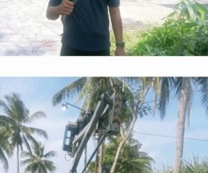 IMG 20260611 WA0129