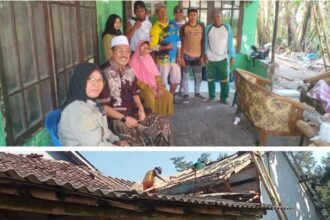 IMG 20260611 WA0135 3