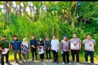 IMG 20260611 WA0157 1