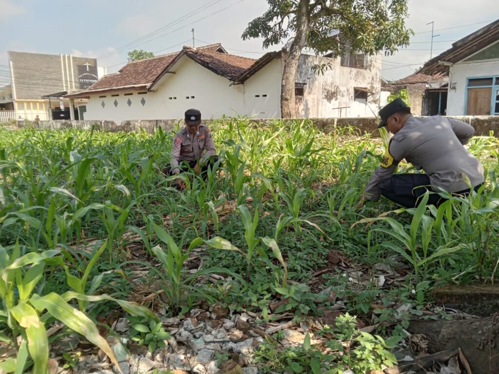 Sinergi Polsek Jatiroto dan Warga Guna Dorong Capaian Swasembada Pangan 2 IMG 20260613 WA0088