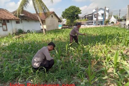 IMG 20260613 WA0090