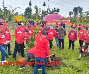 IMG 20260613 WA0120