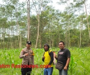 IMG 20260614 WA0039