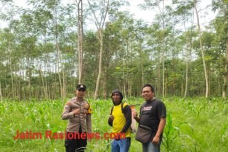 IMG 20260614 WA0039