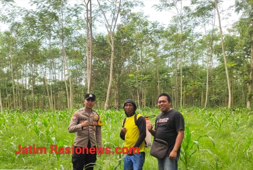 IMG 20260614 WA0039