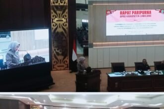 IMG 20260615 WA0153 1