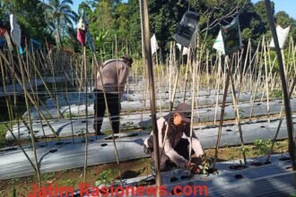 IMG 20260619 WA0024