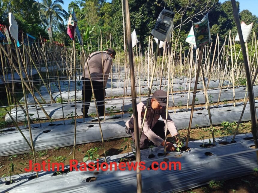 IMG 20260619 WA0024