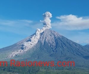 IMG 20260619 WA0158