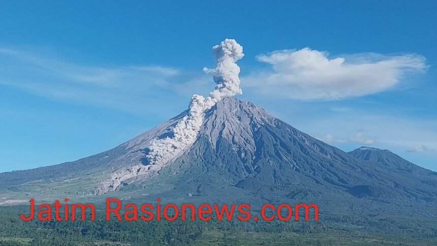 IMG 20260619 WA0158