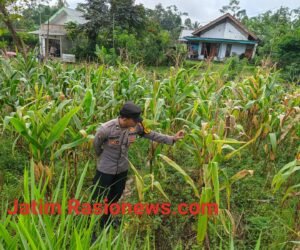 IMG 20260621 WA0015