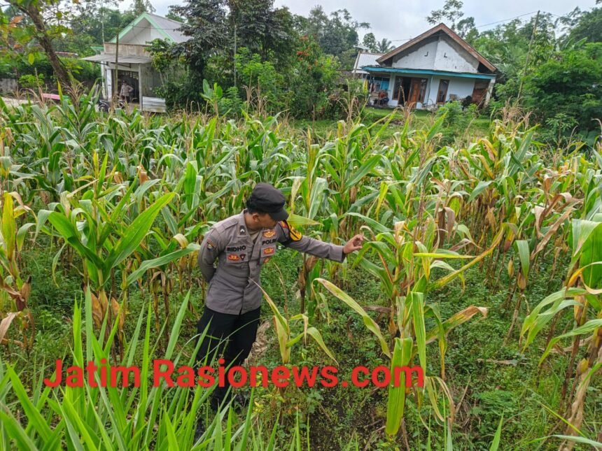 IMG 20260621 WA0015