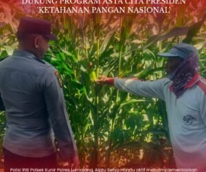 IMG 20260622 WA0029