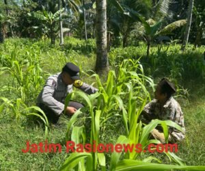 IMG 20260623 WA0061