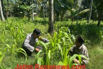 IMG 20260623 WA0061