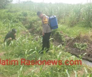 IMG 20260627 WA0109