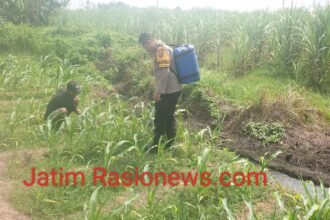 IMG 20260627 WA0109