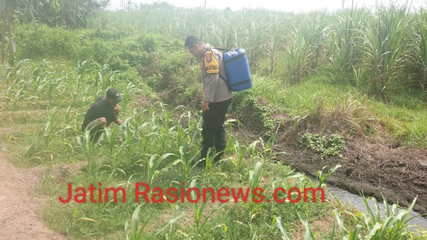 IMG 20260627 WA0109