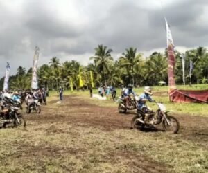 IMG 20260627 WA0446