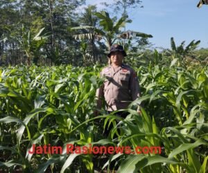 IMG 20260628 WA0108
