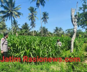 IMG 20260629 WA0058