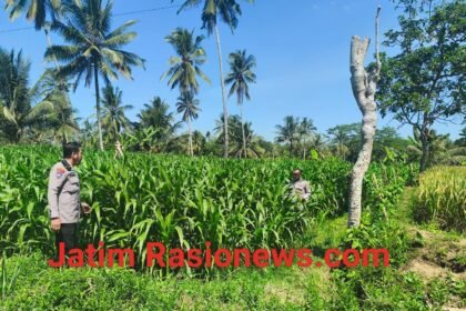IMG 20260629 WA0058