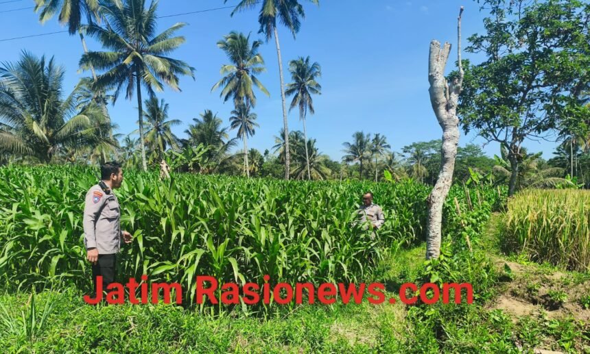 IMG 20260629 WA0058