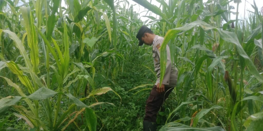 IMG 20260630 WA00131