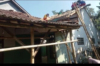 IMG 20260611 151319
