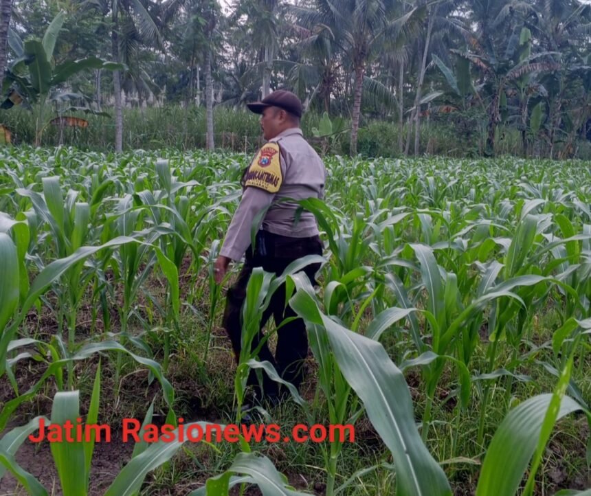 IMG 20260614 125246
