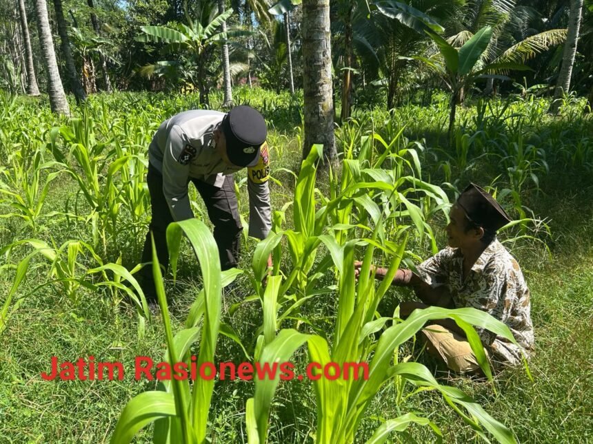 IMG 20260617 082613
