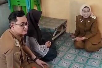 IMG 20260706 WA0113
