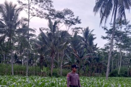 IMG 20260706 WA0141