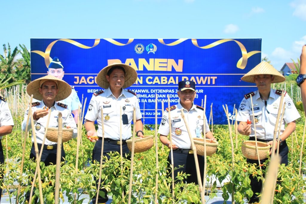 Dukung Ketahanan Pangan, Kakanwil Ditjenpas Jatim Hadiri Panen Jagung dan Cabai di Lahan SAE Paswangi 2 IMG 20260707 WA0113