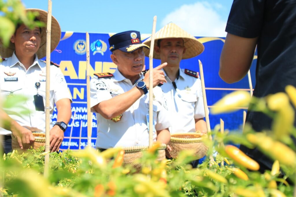 Dukung Ketahanan Pangan, Kakanwil Ditjenpas Jatim Hadiri Panen Jagung dan Cabai di Lahan SAE Paswangi 3 IMG 20260707 WA0115