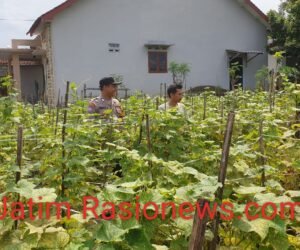 IMG 20260708 WA0083
