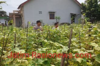 IMG 20260708 WA0083