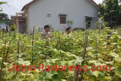 IMG 20260708 WA0083