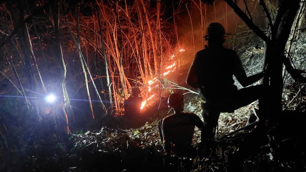 Kebakaran Hutan di Gunung Pucang Rangga Berhasil Dipadamkan, Dua Hektare Lahan Terbakar 2 IMG 20260710 WA01641