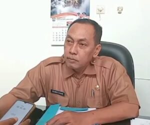 IMG 20260713 WA0113