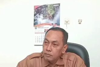 IMG 20260713 WA0113