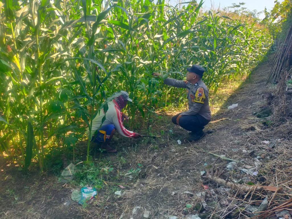 Dukung Asta Cita Presiden, Polisi RW Polsek Kunir Cek Pekarangan Pangan Bergizi di Sukosari 2 IMG 20260714 WA00362 1