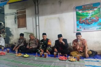 IMG 20260715 WA01081
