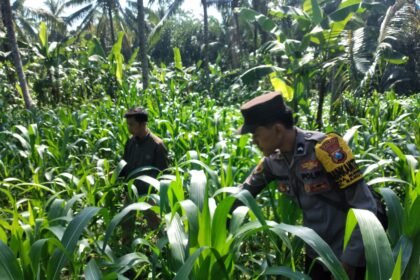 IMG 20260715 WA01261