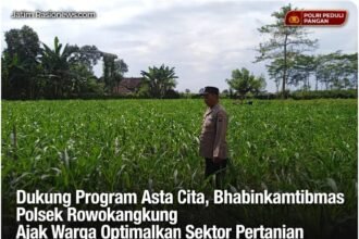 IMG 20260719 WA0039