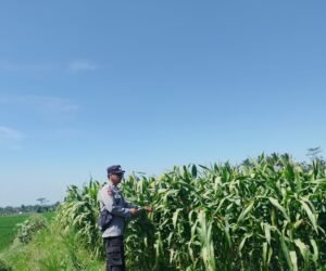 IMG 20260722 WA0003