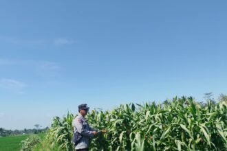 IMG 20260722 WA0003
