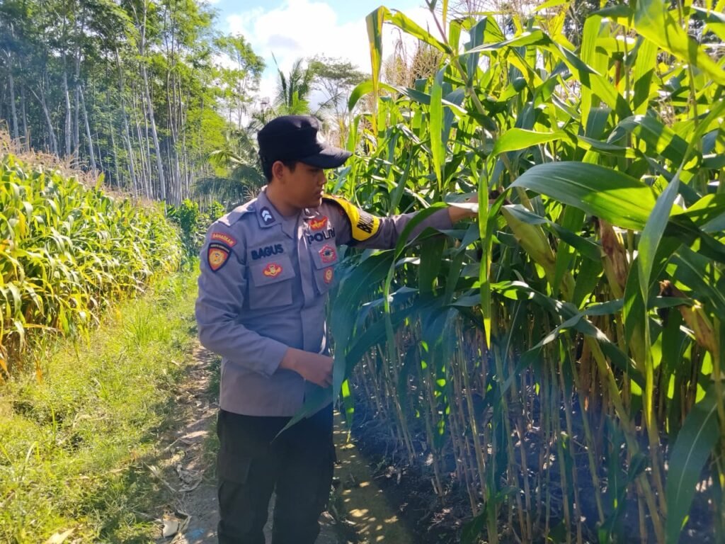 IMG 20260723 WA0024
