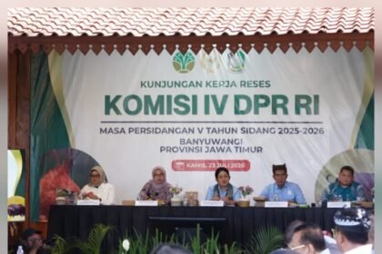 IMG 20260724 WA0111